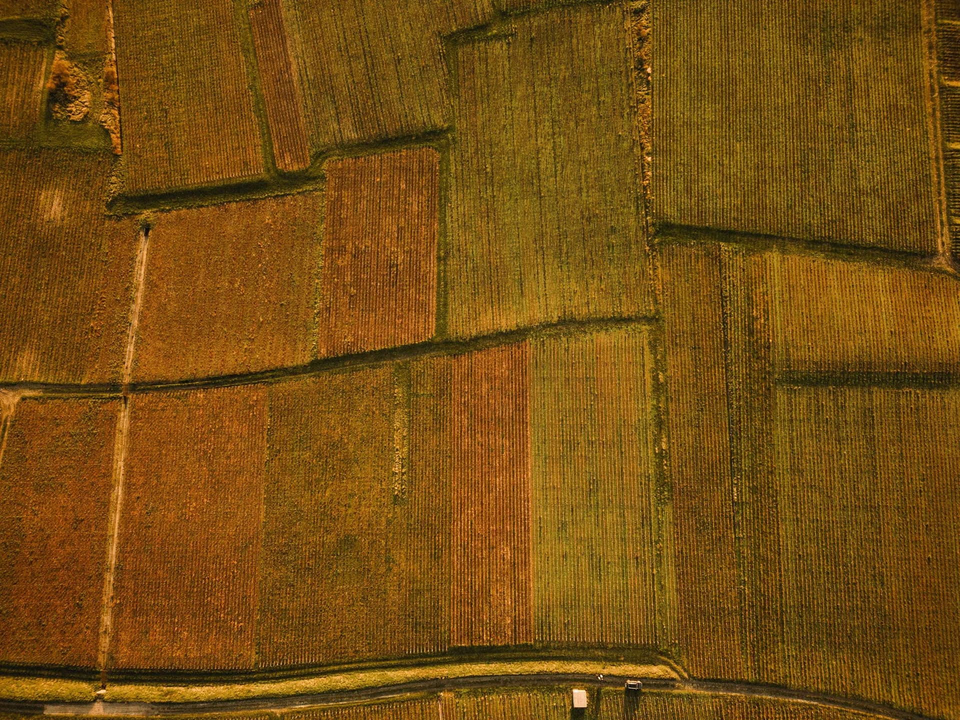 Parts de sociétés agricoles et groupements fonciers