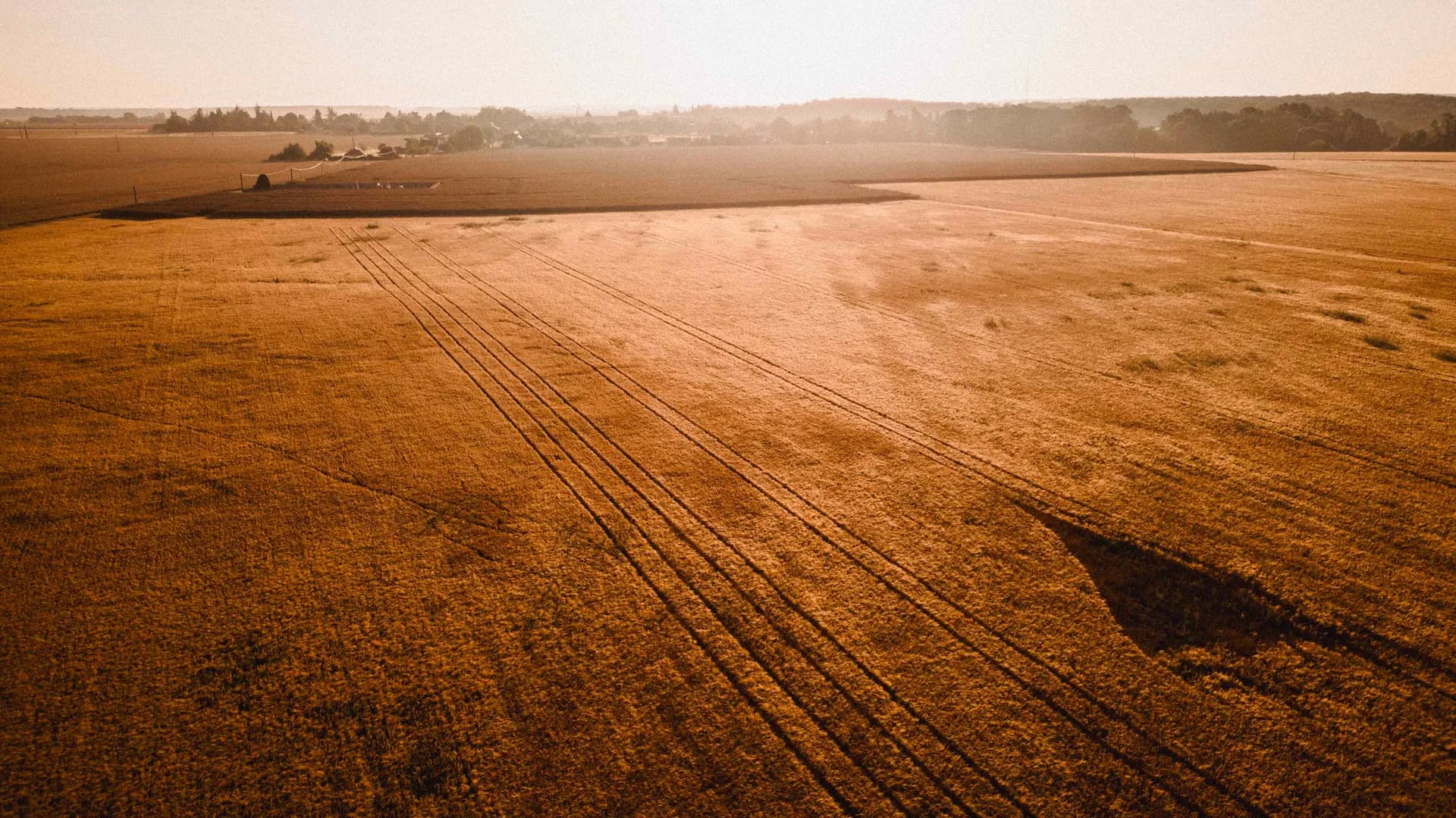 Investissement direct en terres agricoles