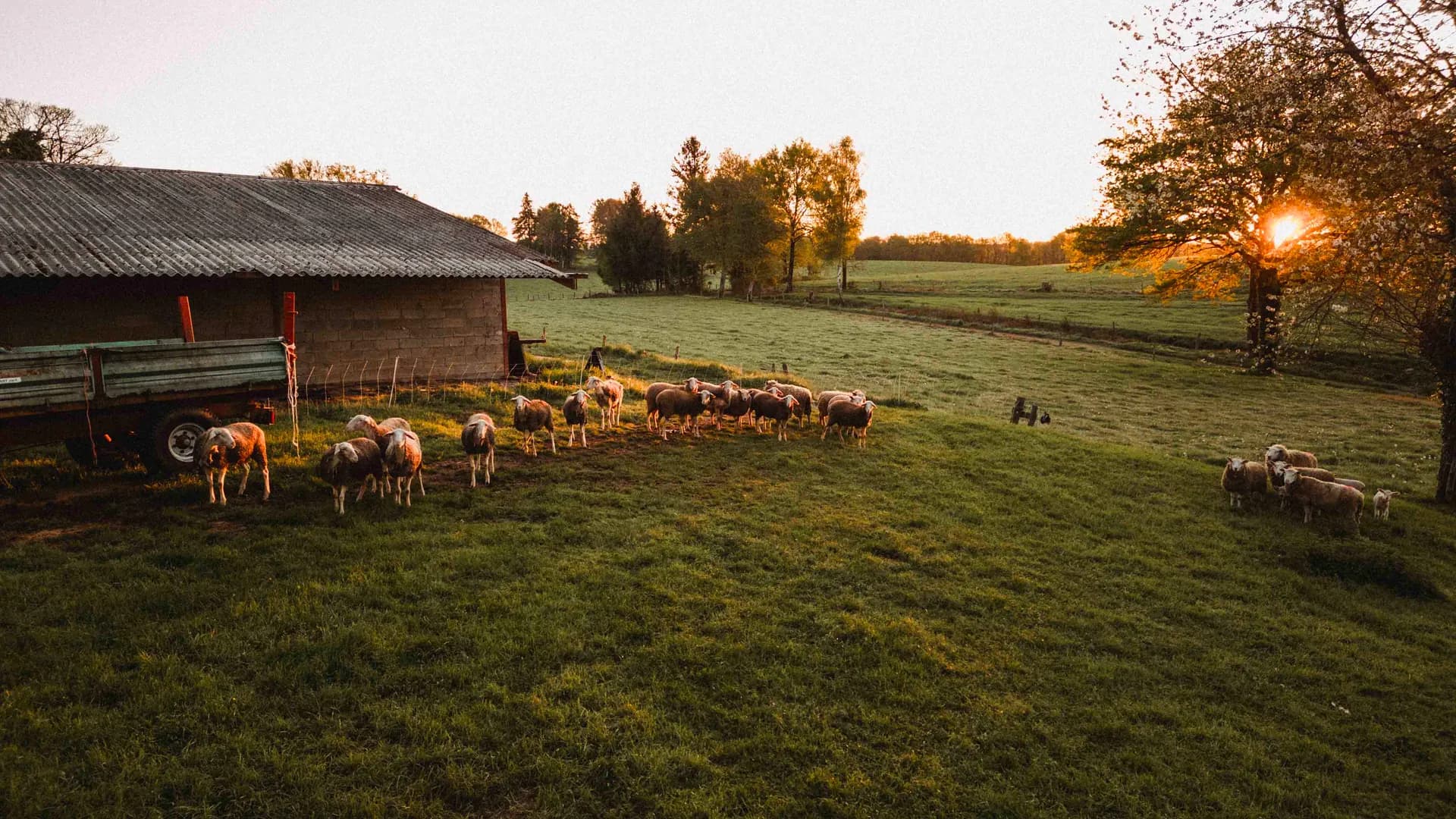 Installation agricole pour nouvel exploitant