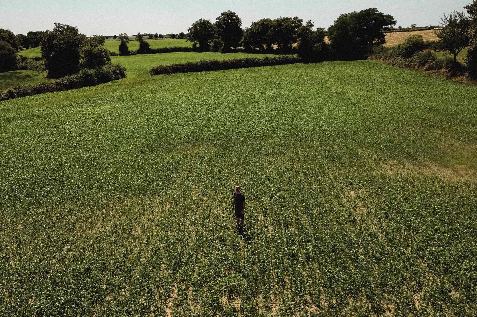 Location de terres agricoles en bail rural