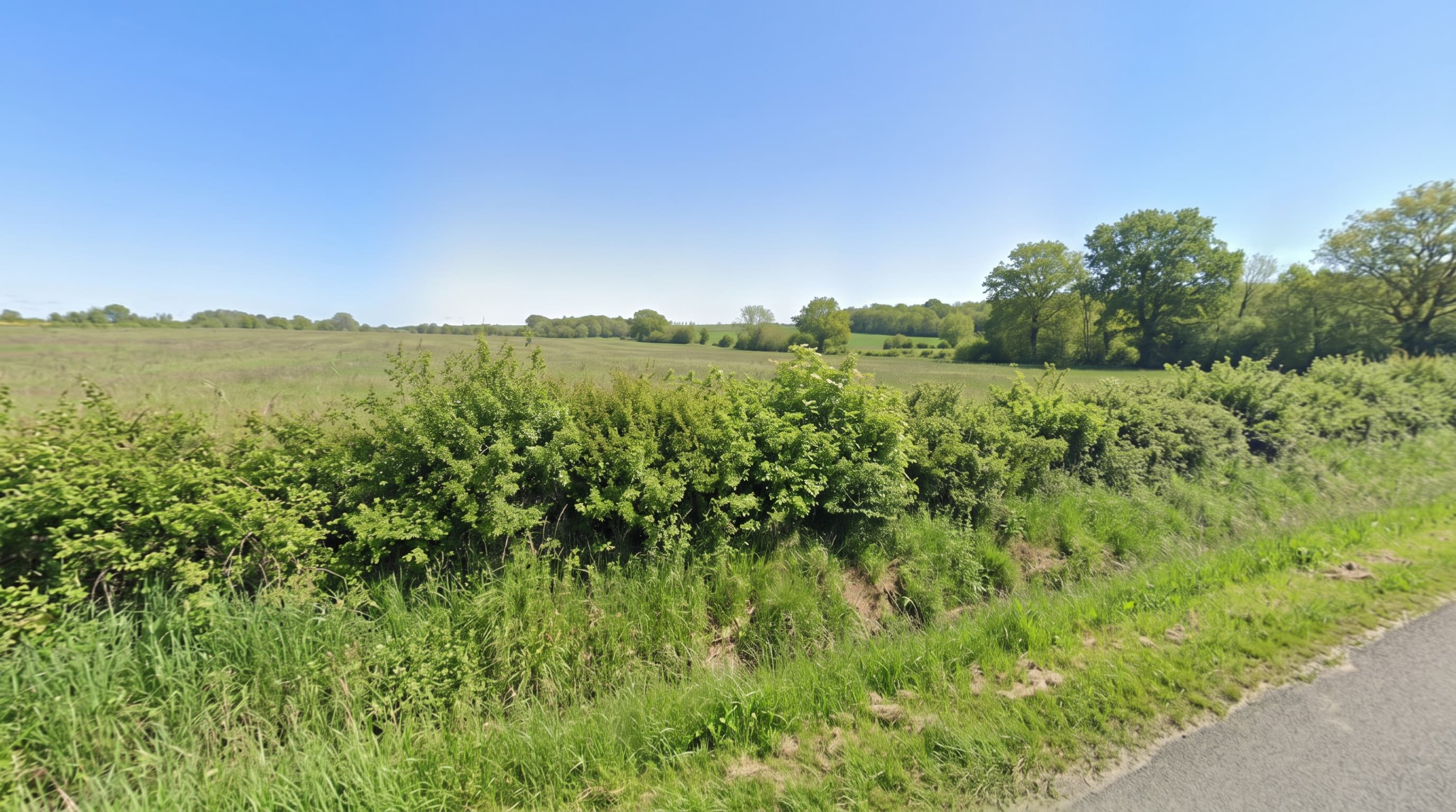 Terres agricoles — Bovins allaitants - 15.9 ha - La Chapelaude - Image 2