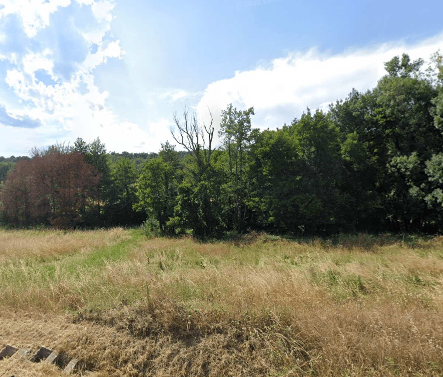 Prairies d'élevage - 0.7 ha - Chanos-Curson - Image 2