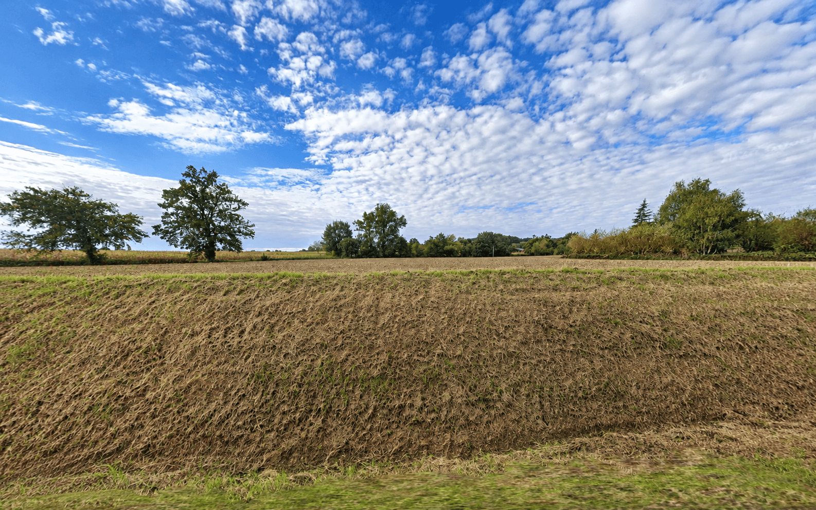 Terres céréalières - 0.4 ha - Haget