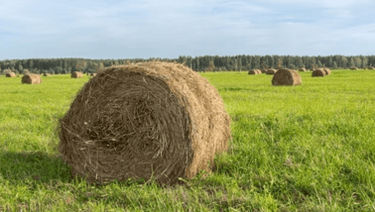 Fourrage et paille - Eyzin-Pinet