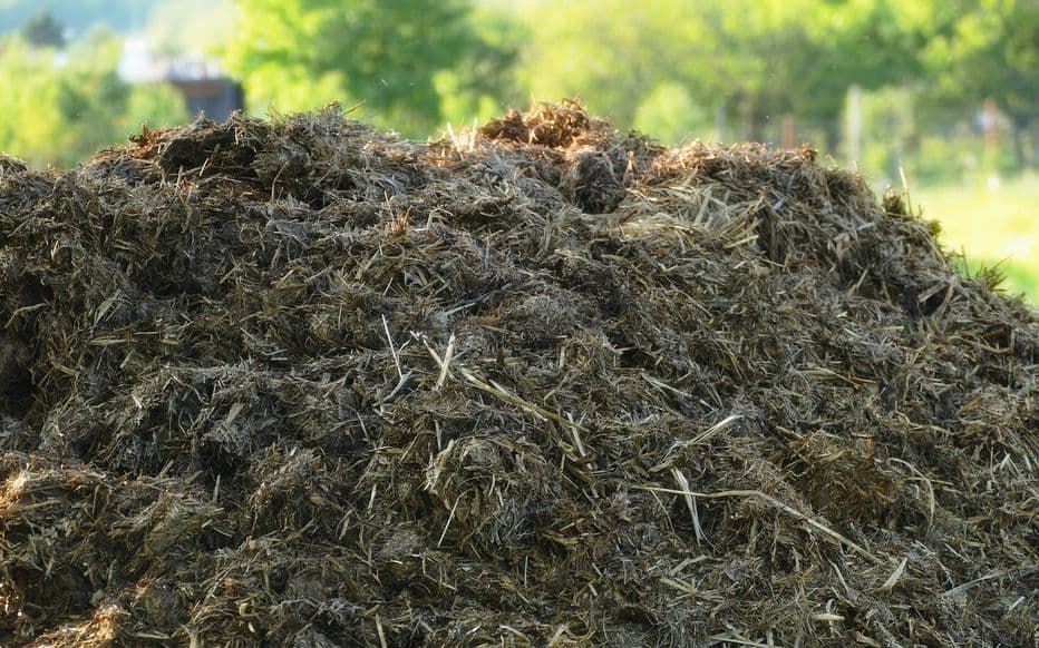 Fumier et compost - 78810