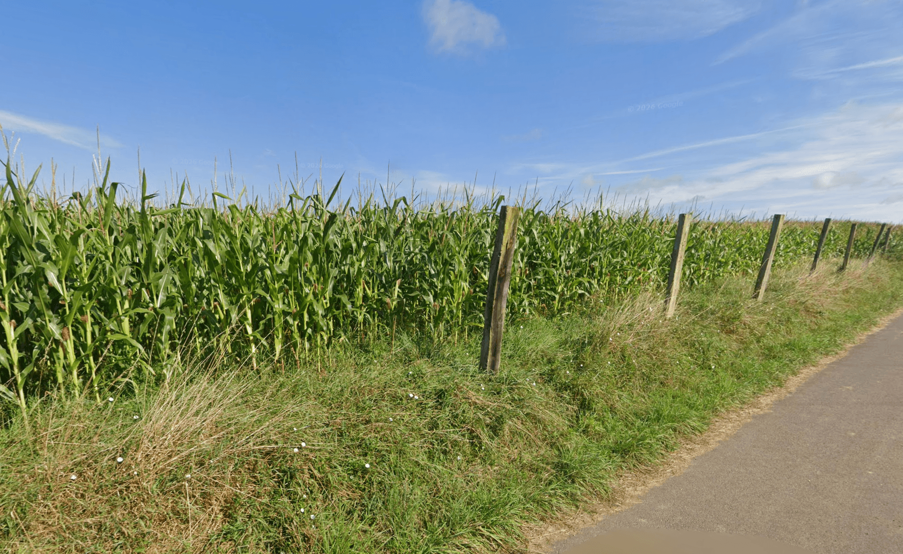 Terres agricoles - 1.5 ha - Saint-Denœux