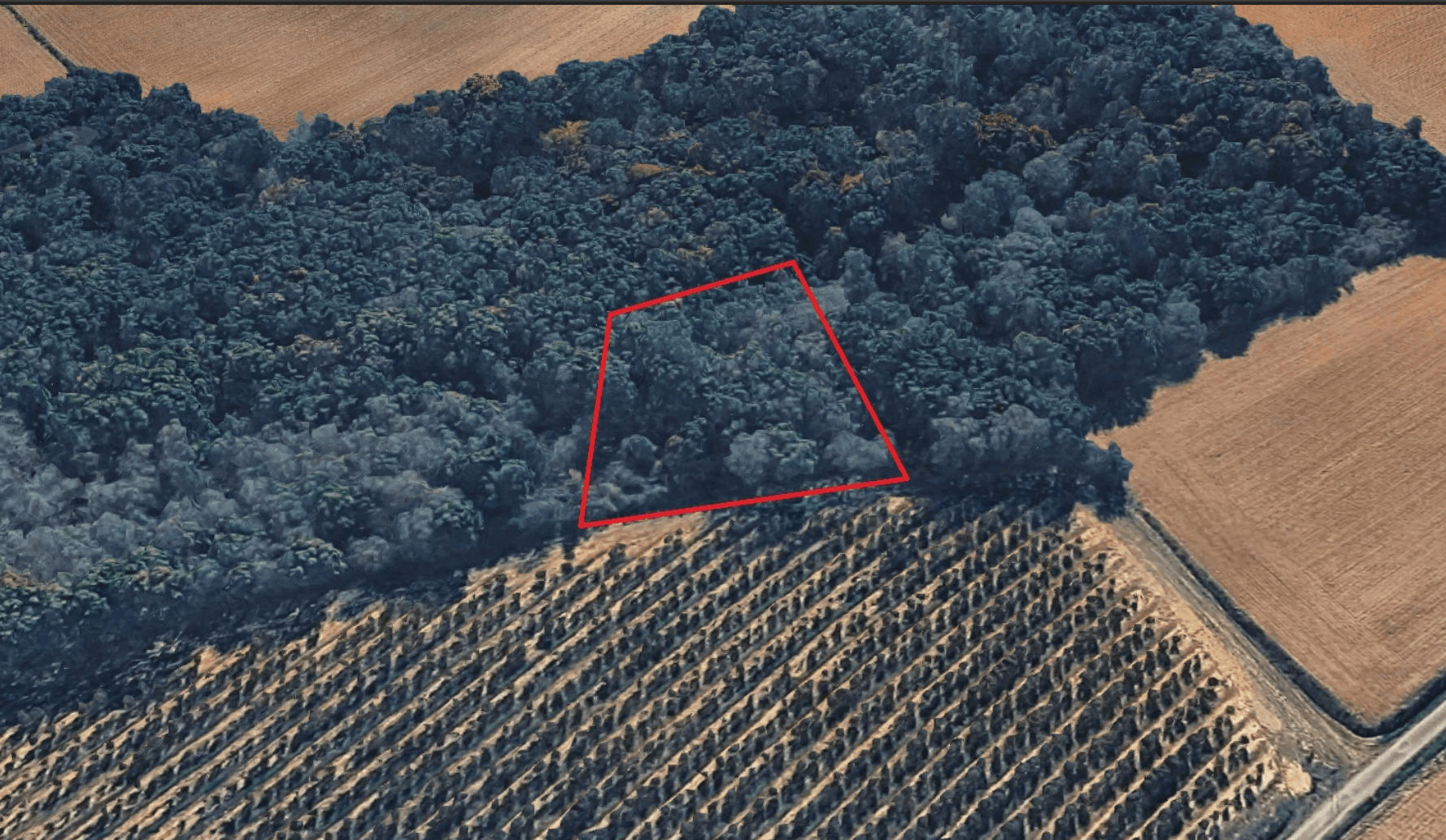 Forêt - 0.2 ha - Saint-Arroumex