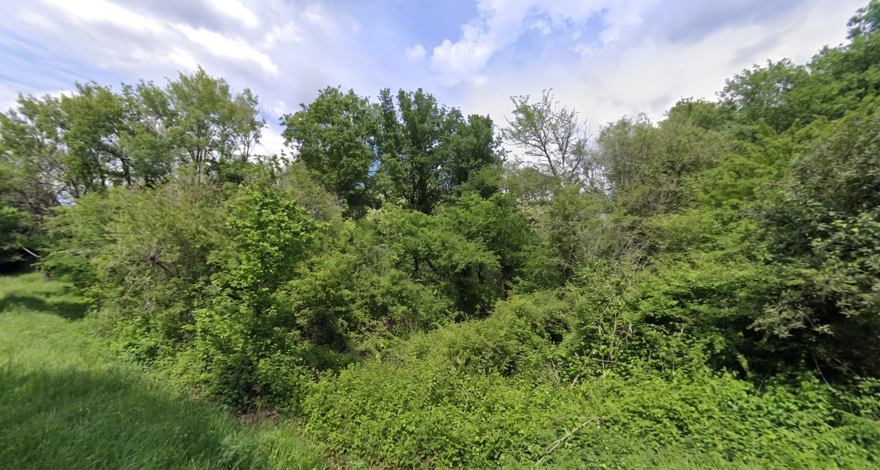 Forêt - 46.5 ha - Chamadelle - Image 4