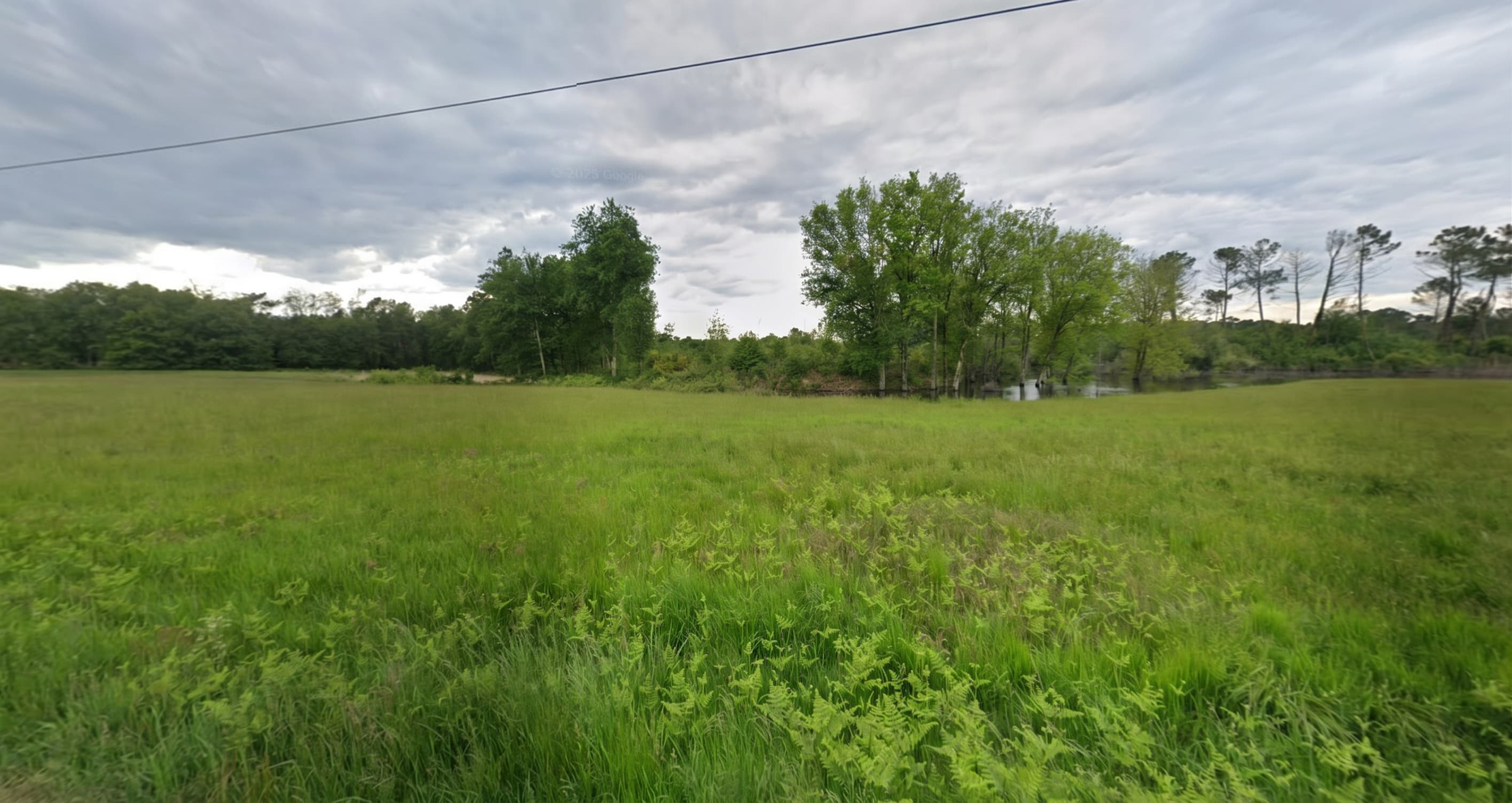 Forêt - 46.5 ha - Chamadelle - Image 2