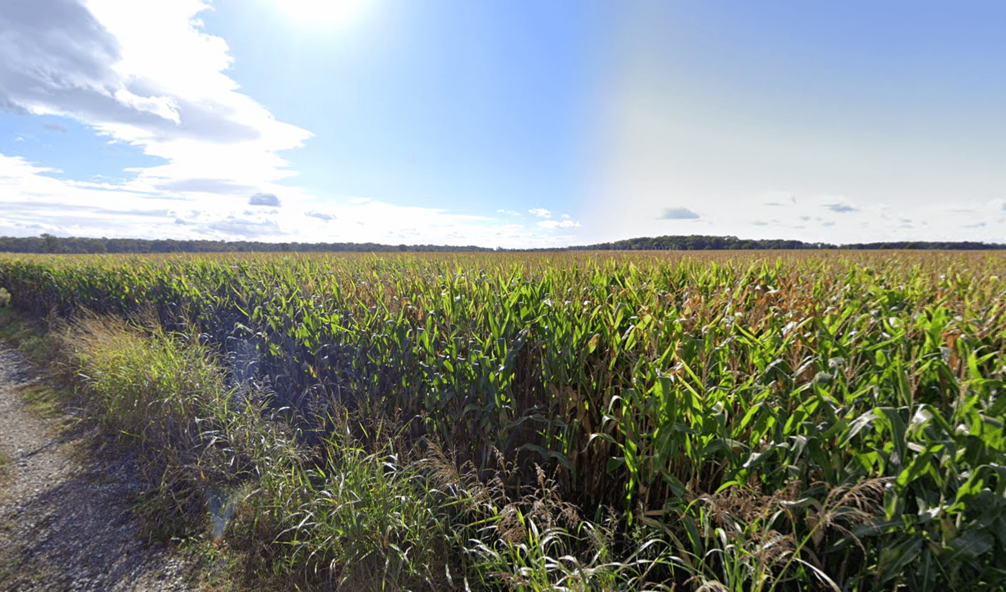 Terres agricoles - 5.9 ha - Merxheim