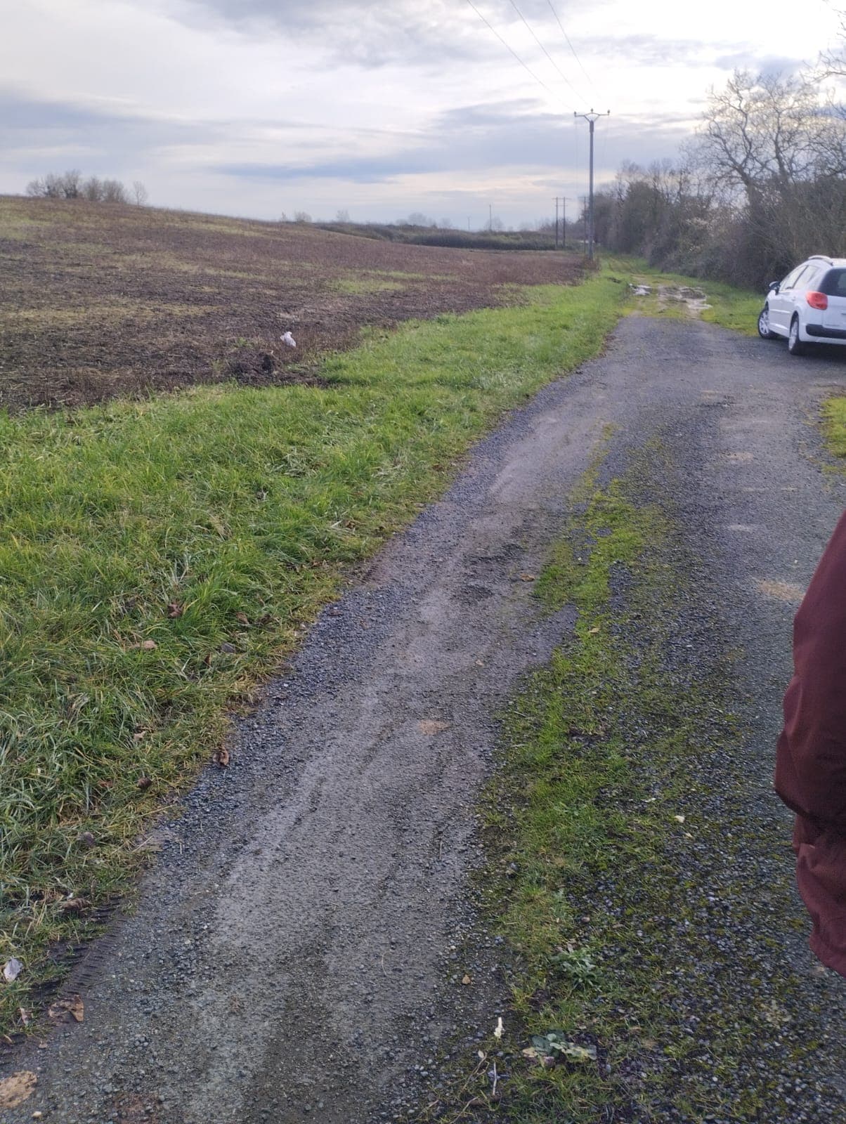 Terres agricoles - 2.7 ha - Chemin des 5 Arpents - Image 2