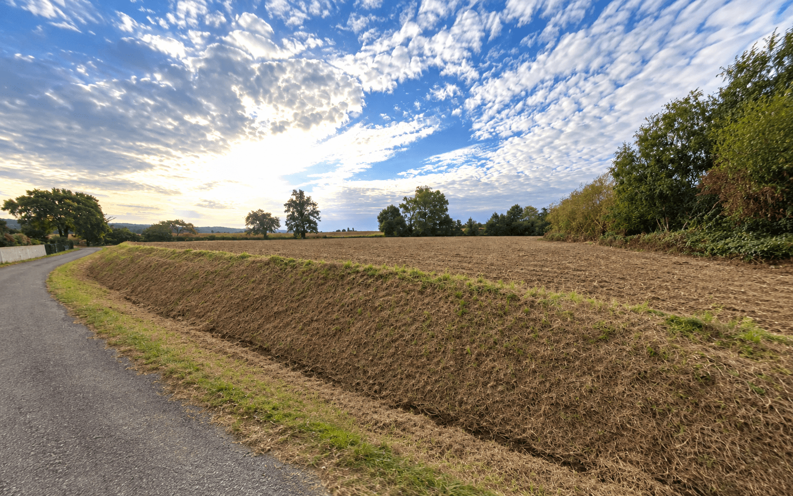 Terres céréalières - 0.4 ha - Haget - Image 2