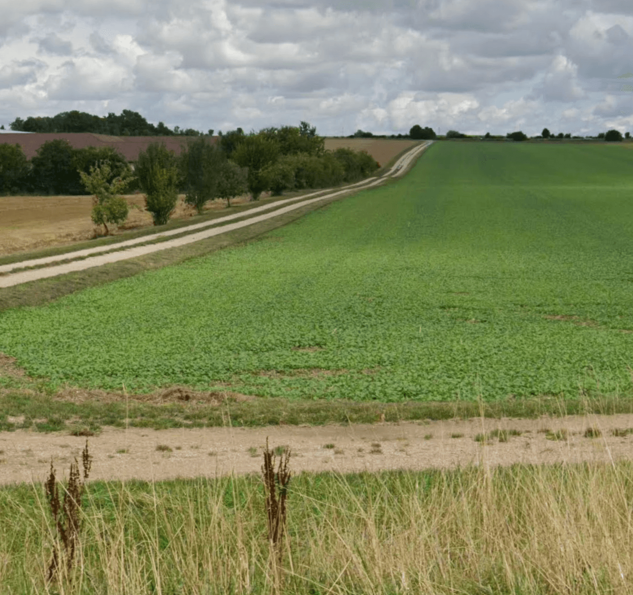 Terres agricoles - 11.0 ha - Vésigneul-sur-Marne