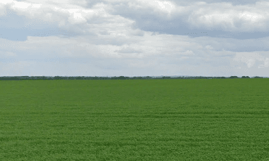 Terres agricoles - 9.2 ha - Sailly-en-Ostrevent