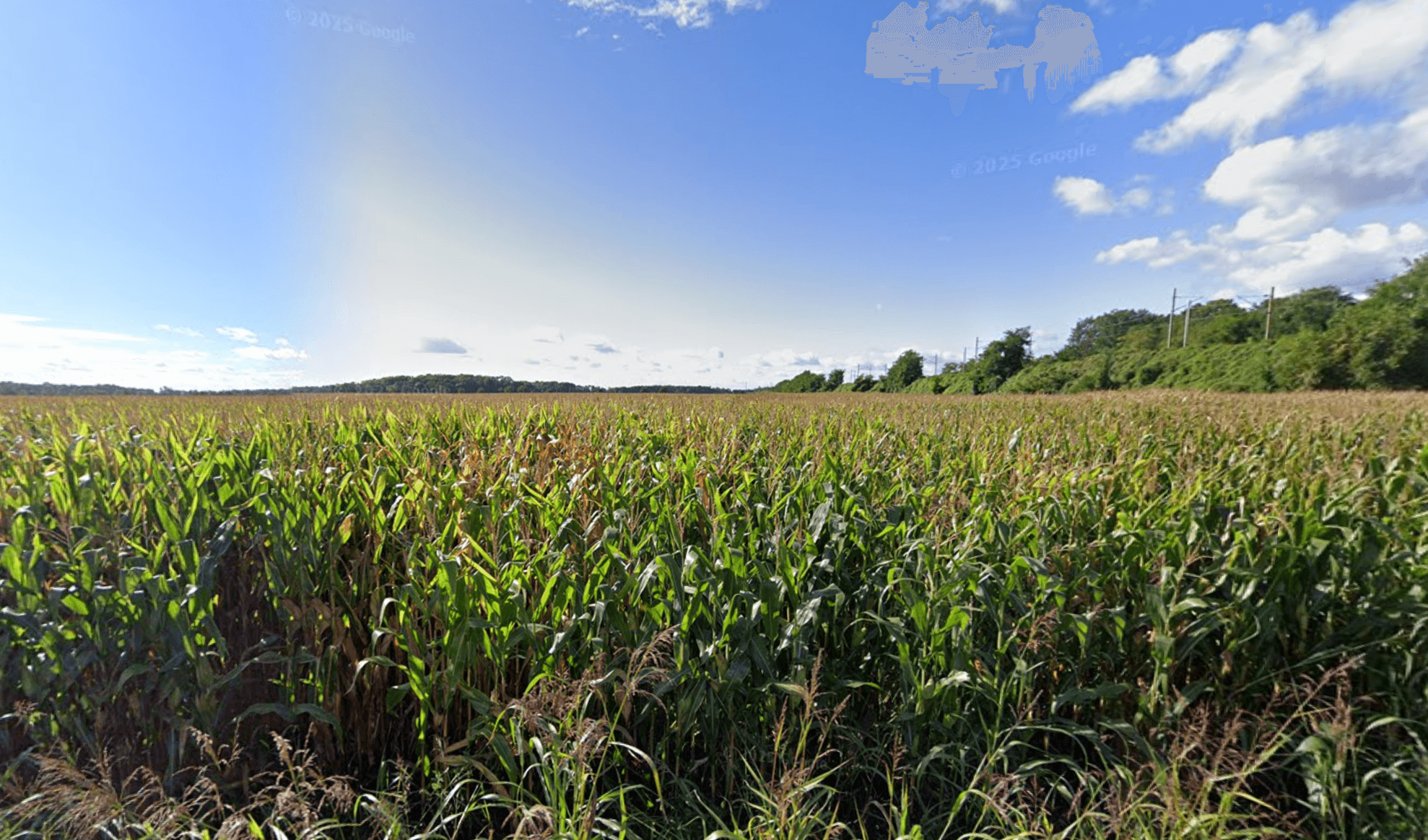 Terres agricoles - 5.9 ha - Merxheim - Image 3