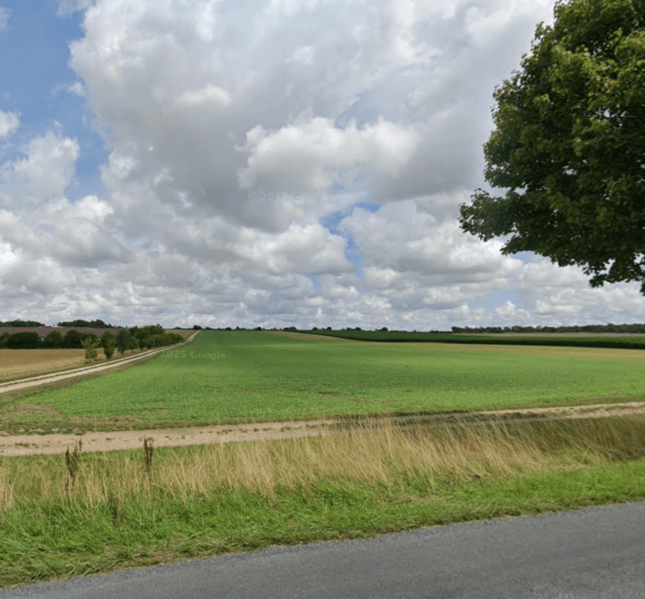 Terres agricoles - 11.0 ha - Vésigneul-sur-Marne - Image 3