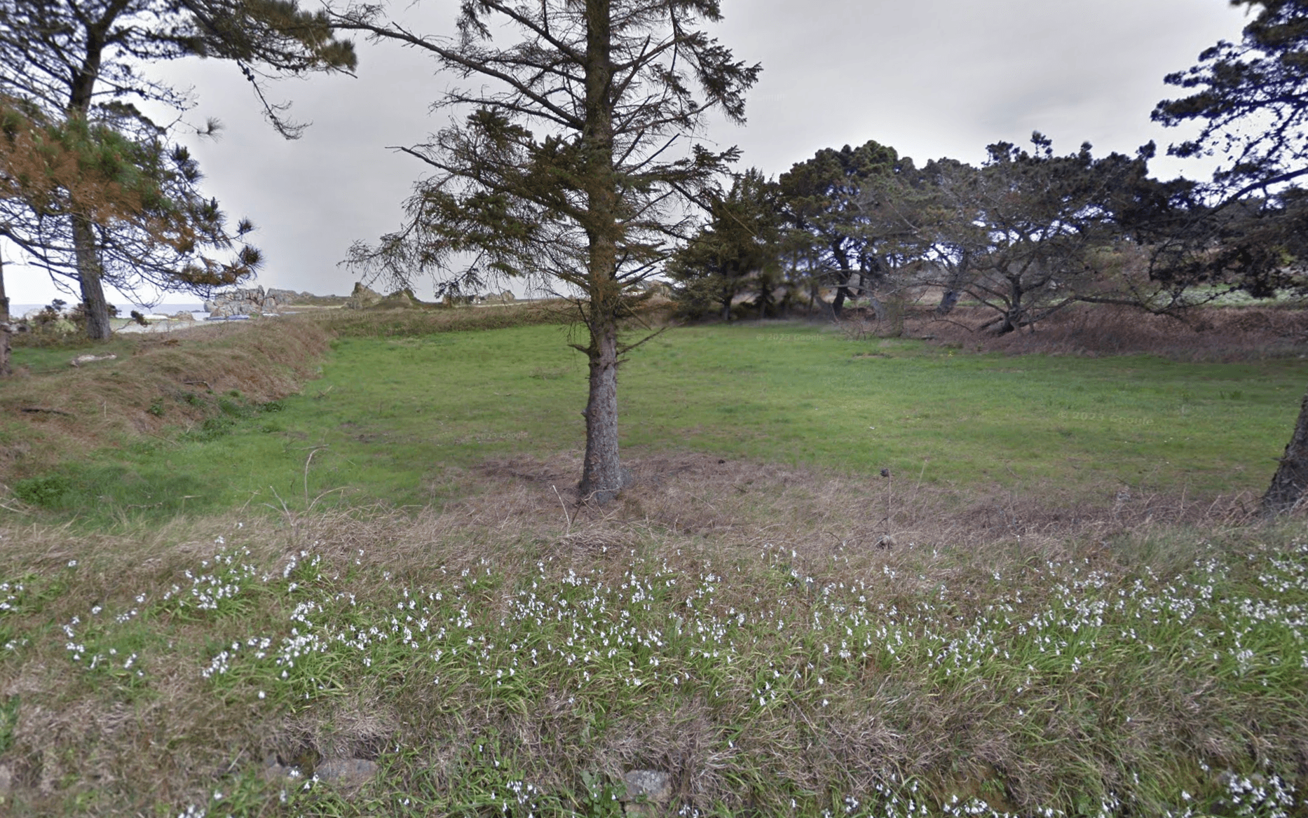 Terres agricoles - 0.4 ha - Plougrescant