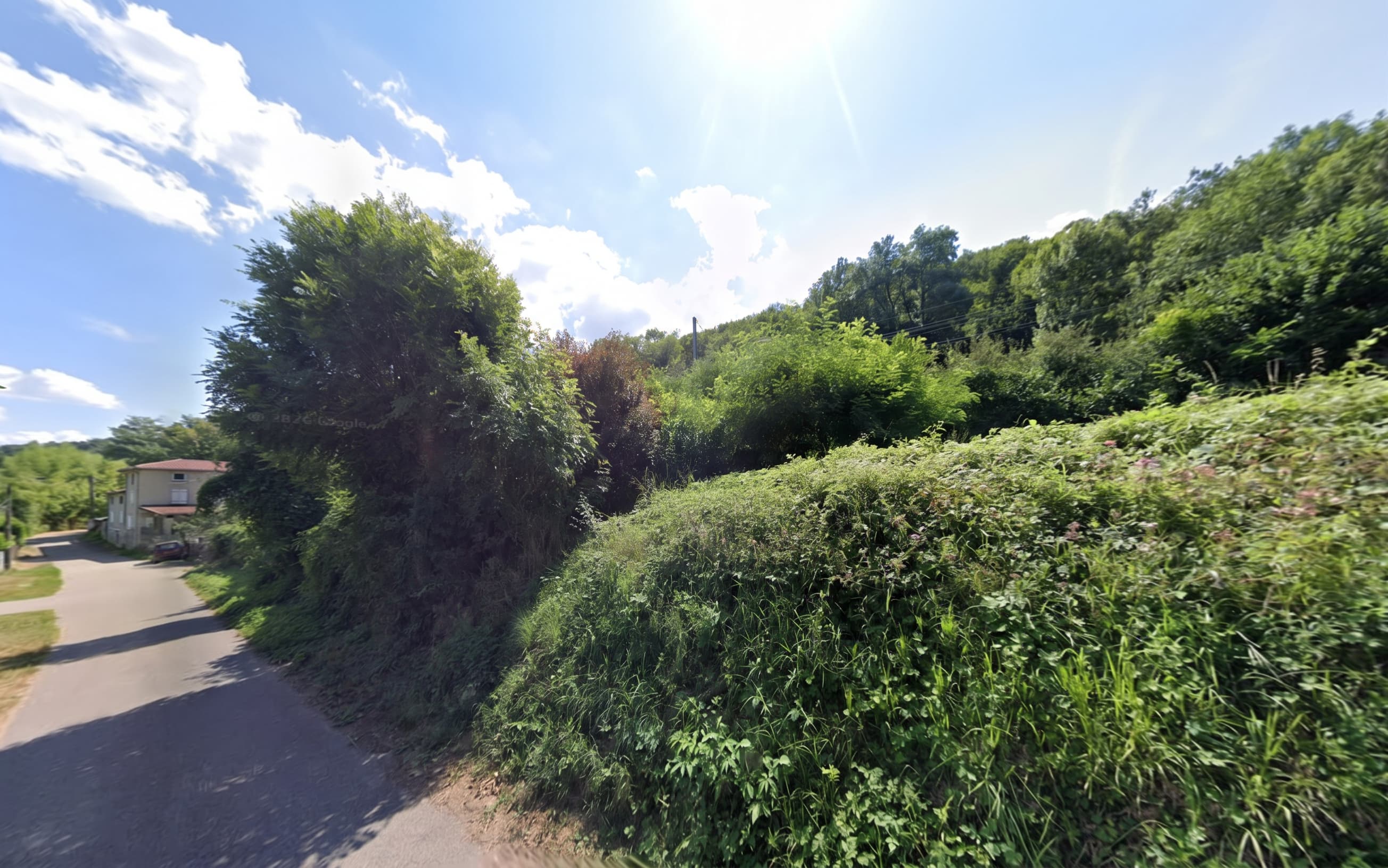 Forêt - 1.1 ha - Saint-Romain-en-Gier
