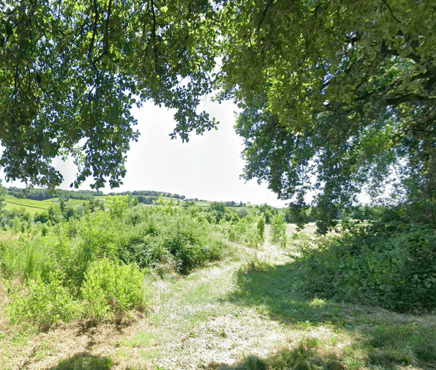 Prairies d'élevage - 0.7 ha - Chanos-Curson