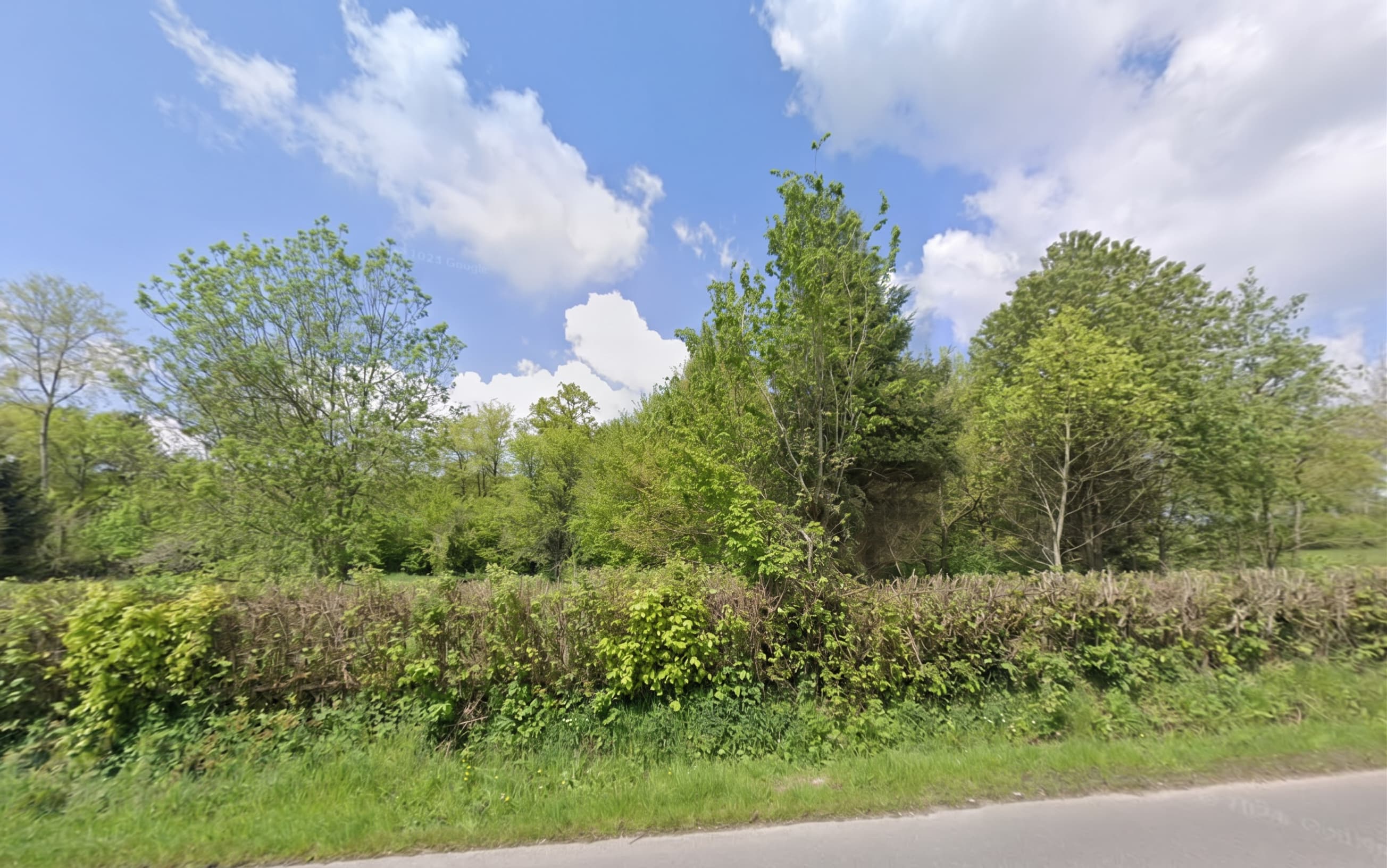 Forêt - 5.3 ha - Livarot-Pays-d'Auge