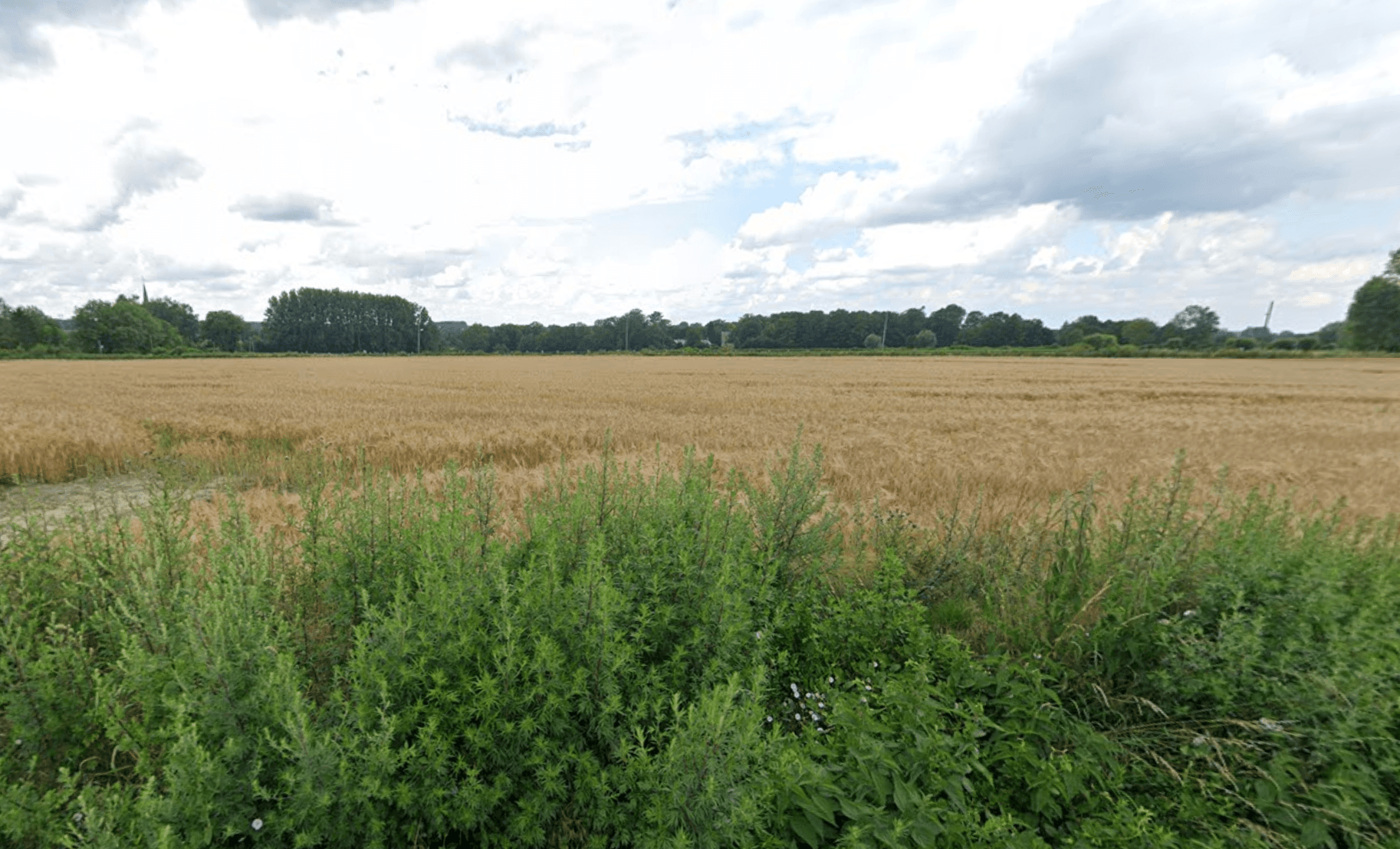 Terres céréalières - 1.6 ha - Mecquignies