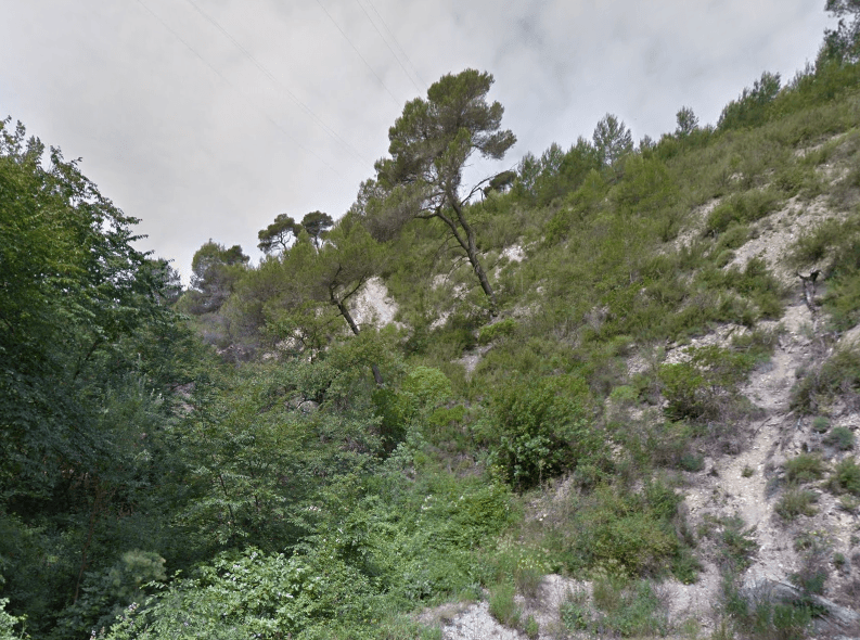 Terres agricoles - 6.6 ha - 06390 - Image 3