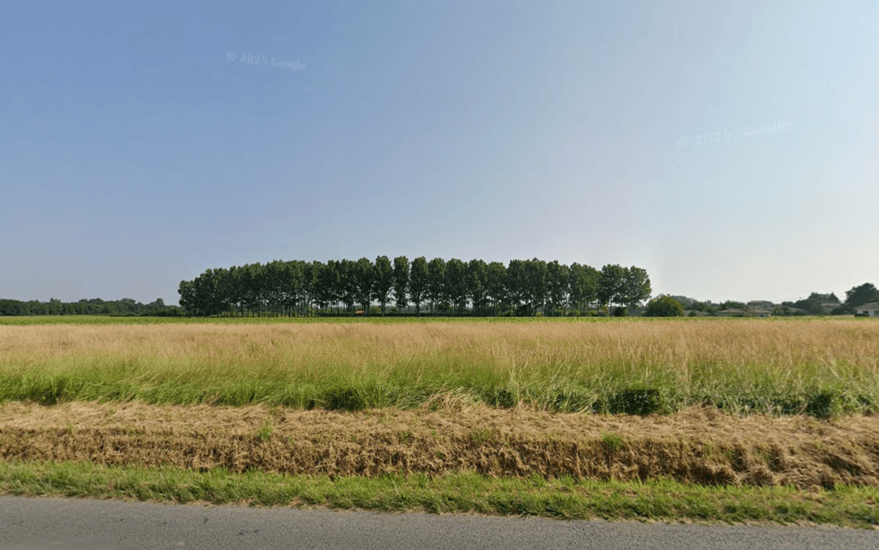 Terres agricoles - 1.2 ha - Saint-Philippe-du-Seignal - Image 2