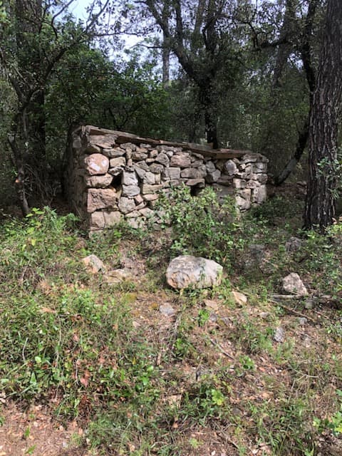 Terres agricoles - 1.7 ha - Carcès - Image 6