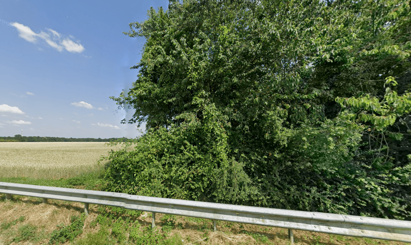 Terres agricoles - 1.9 ha - Soisy-sur-École - Image 2