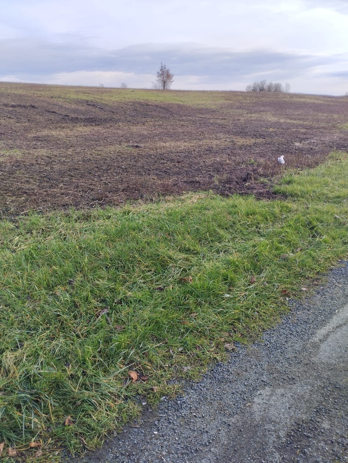Terres agricoles - 2.7 ha - Chemin des 5 Arpents