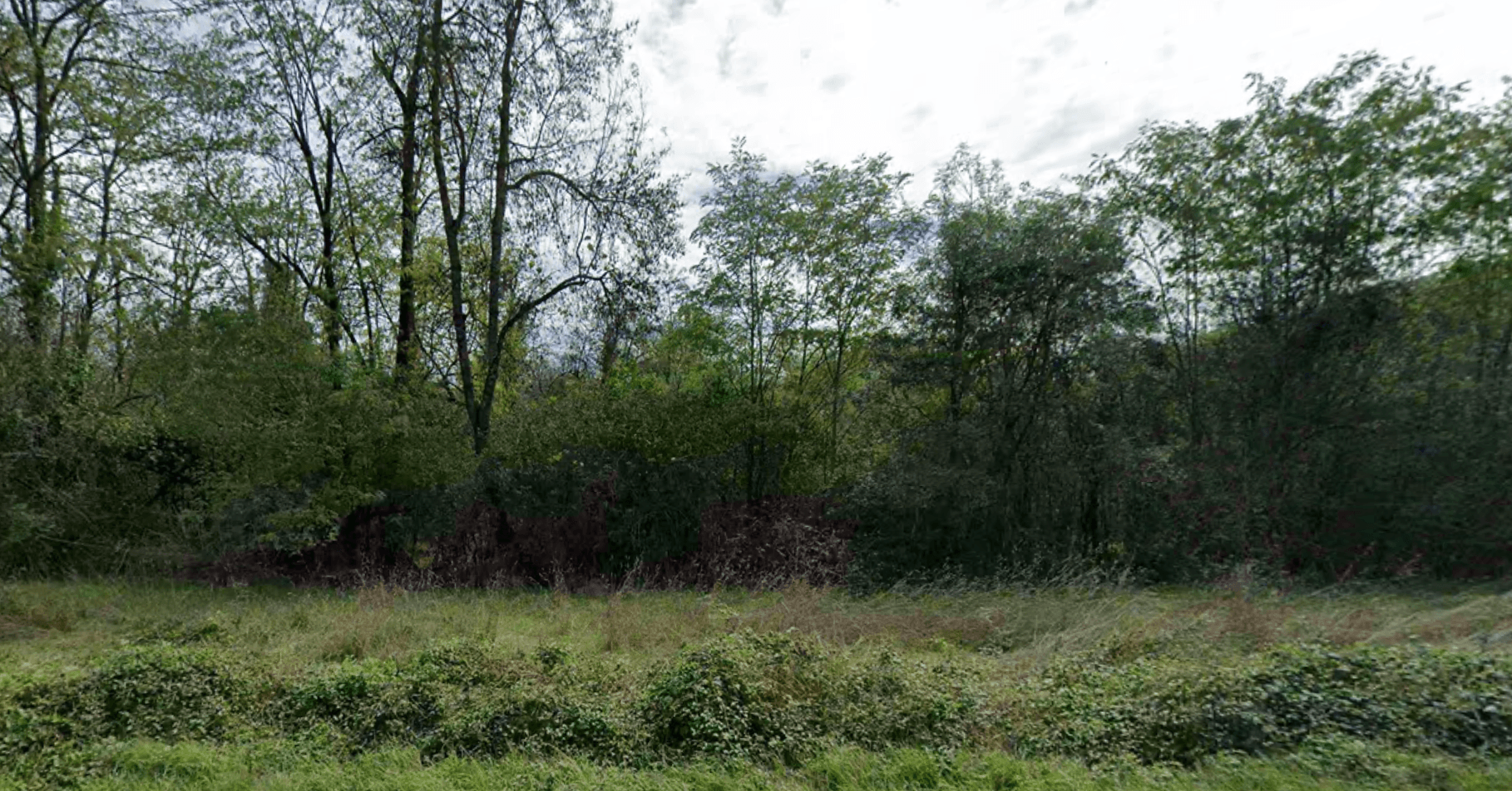 Forêt - 0.4 ha - Gagnac-sur-Garonne