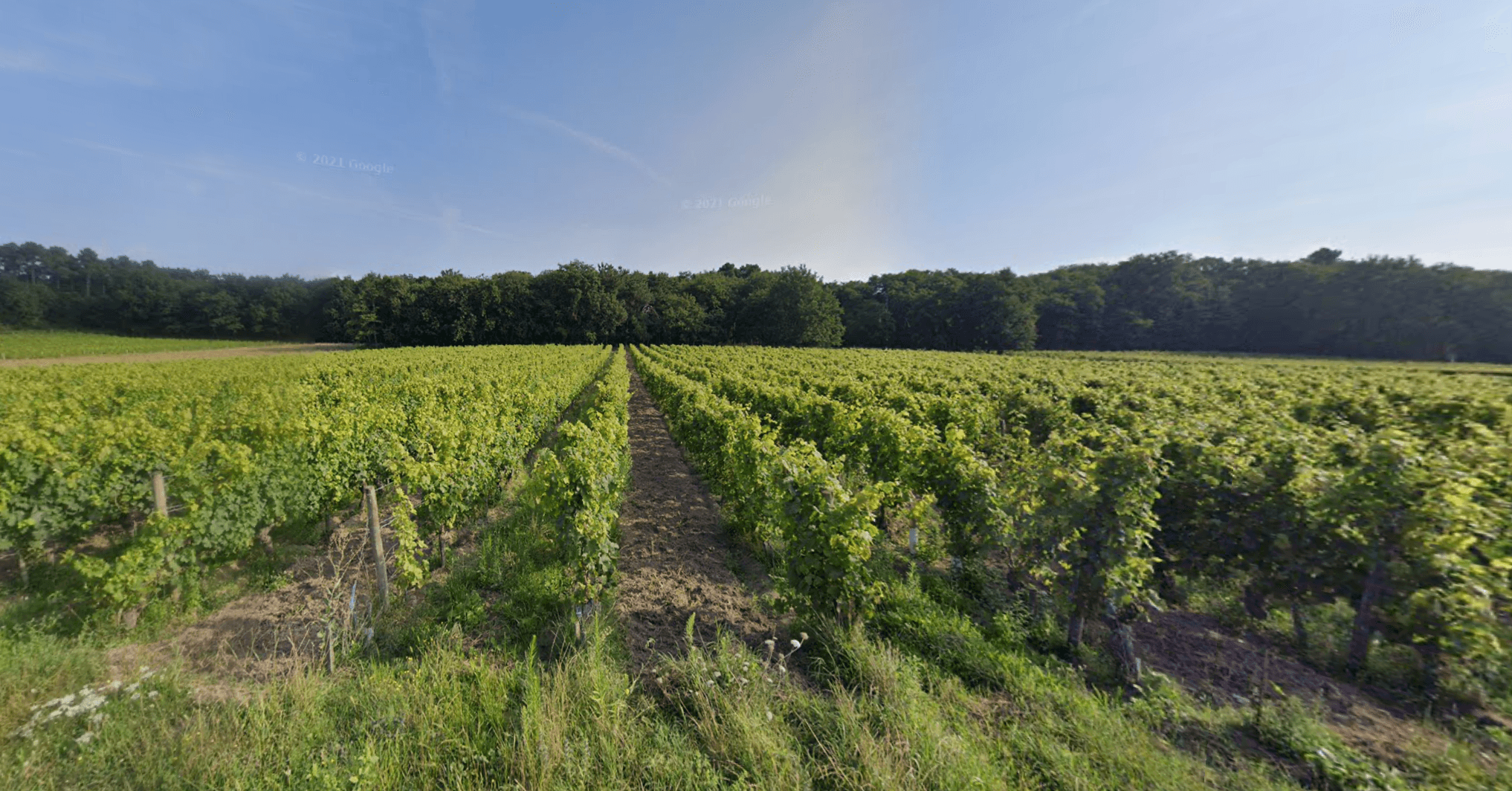 Terres agricoles - 0.7 ha - Restigné