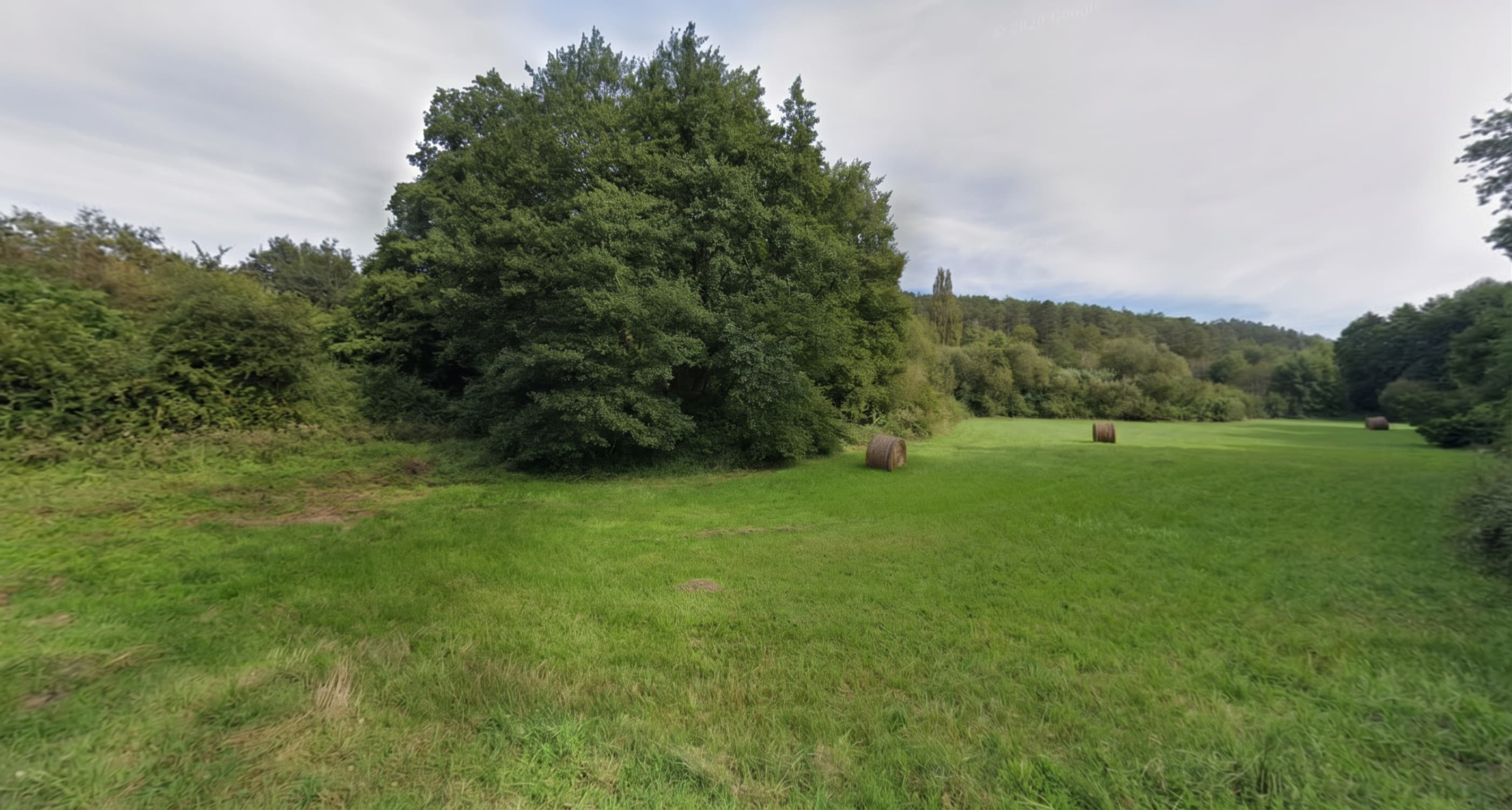 Terres agricoles - 3.3 ha - Saint-Martin-des-Combes