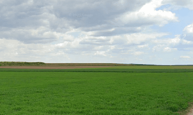 Terres agricoles - 0.2 ha - Vitry-en-Artois