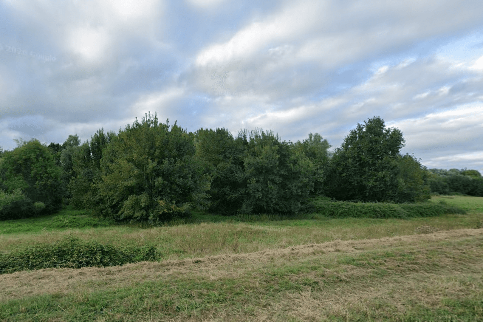 Terres agricoles - 1.5 ha - Blaison-Gohier - Image 2