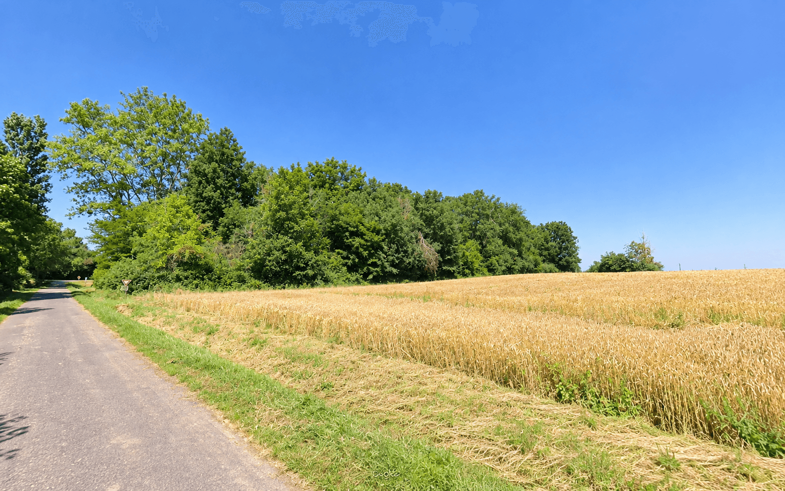 Forêt - 0.2 ha - Glanon