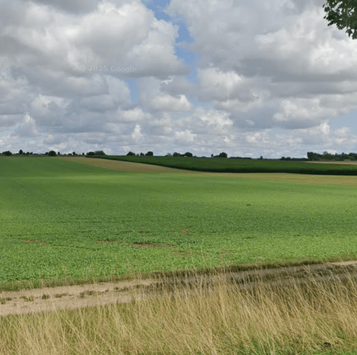 Terres agricoles - 11.0 ha - Vésigneul-sur-Marne - Image 4