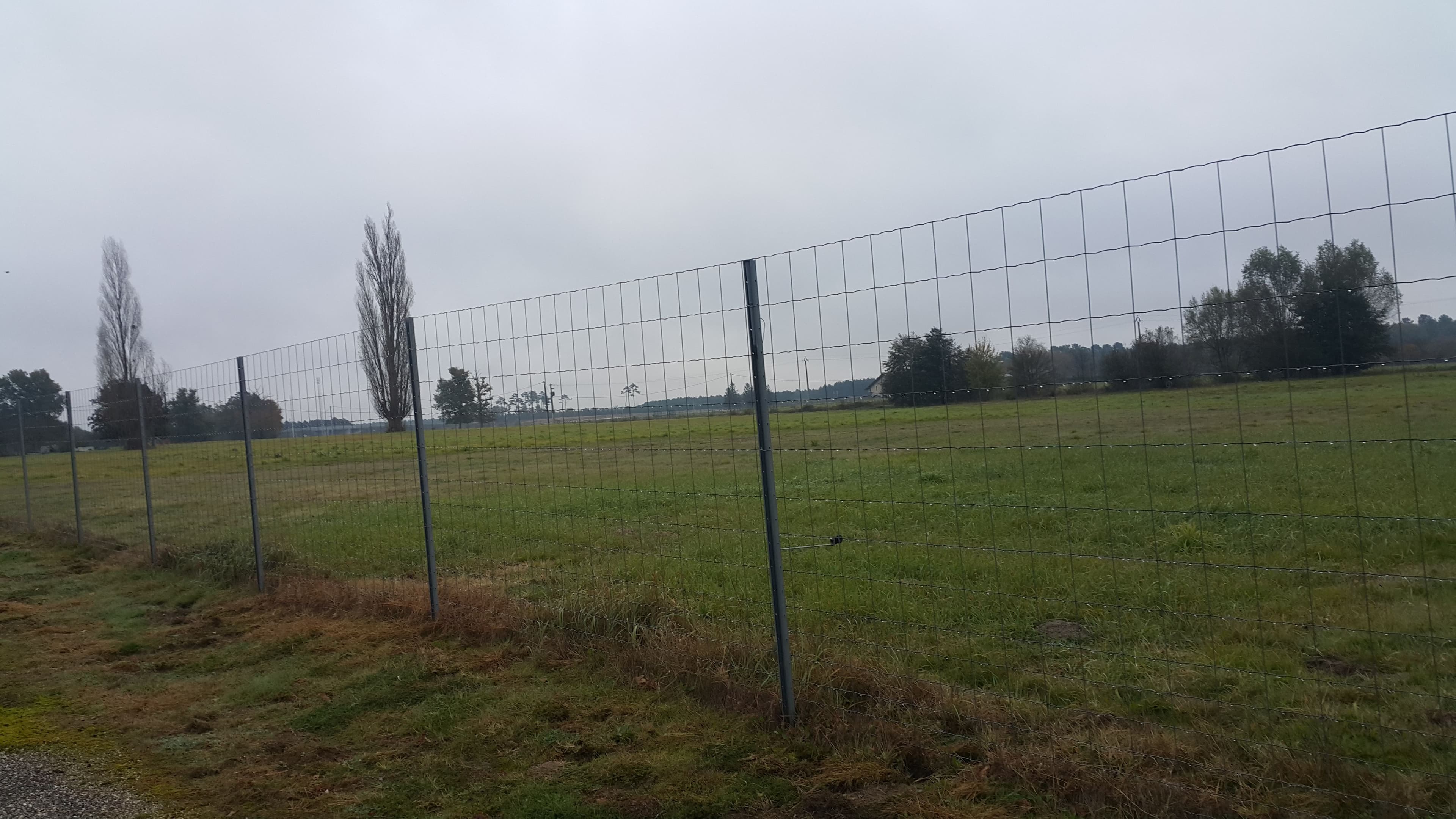 Terres agricoles - 12.8 ha - Routillas - Image 3