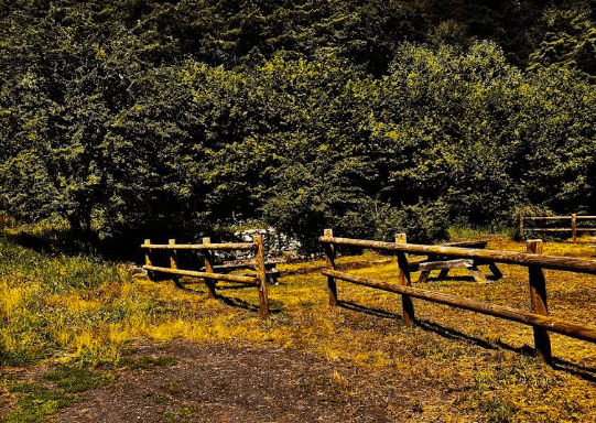 Forêt - 1.5 ha - Séneujols - Image 2