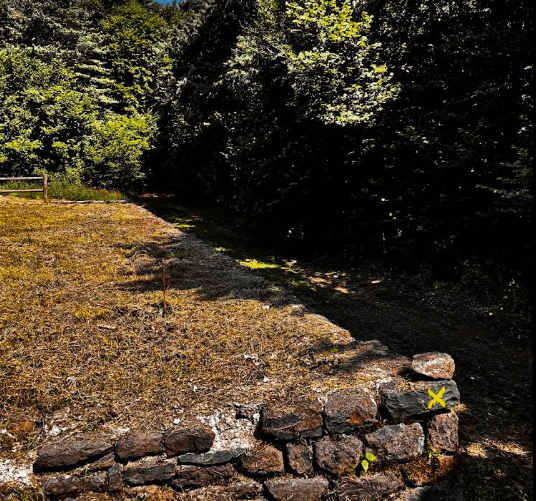 Forêt - 1.5 ha - Séneujols
