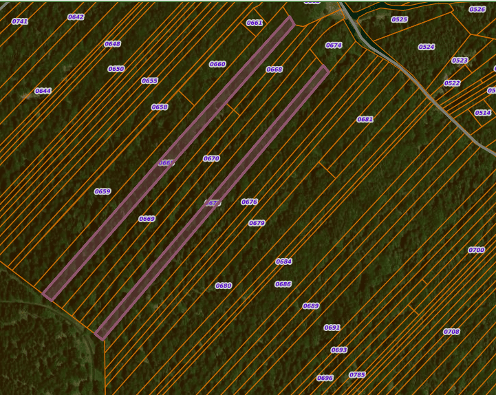 Forêt - 1.5 ha - Séneujols - Image 5