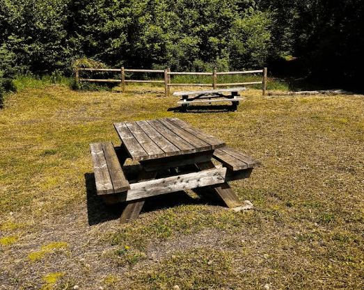 Forêt - 1.5 ha - Séneujols - Image 3