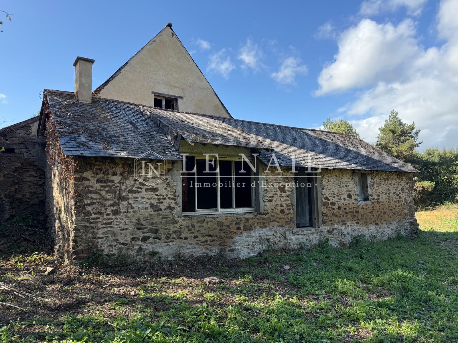 Forêt - 26.5 ha - Château-Gontier-sur-Mayenne - Image 9