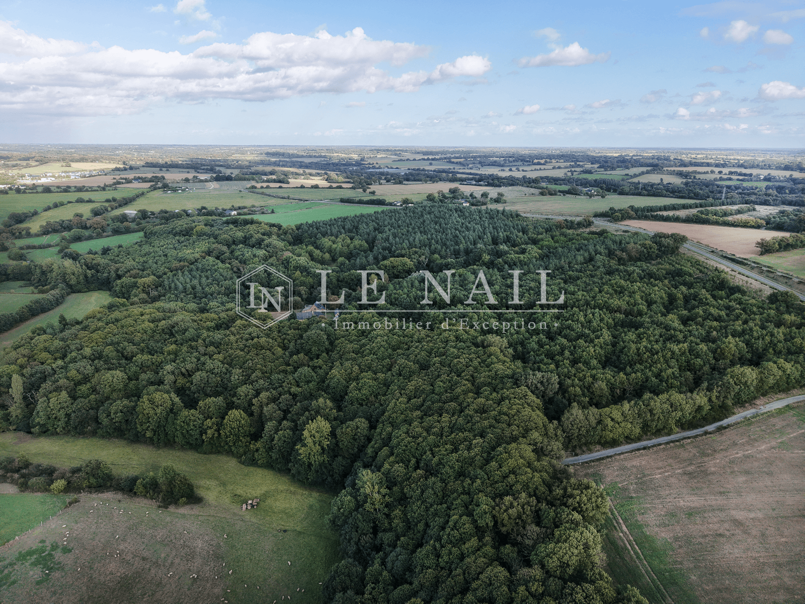Forêt - 26.5 ha - Château-Gontier-sur-Mayenne