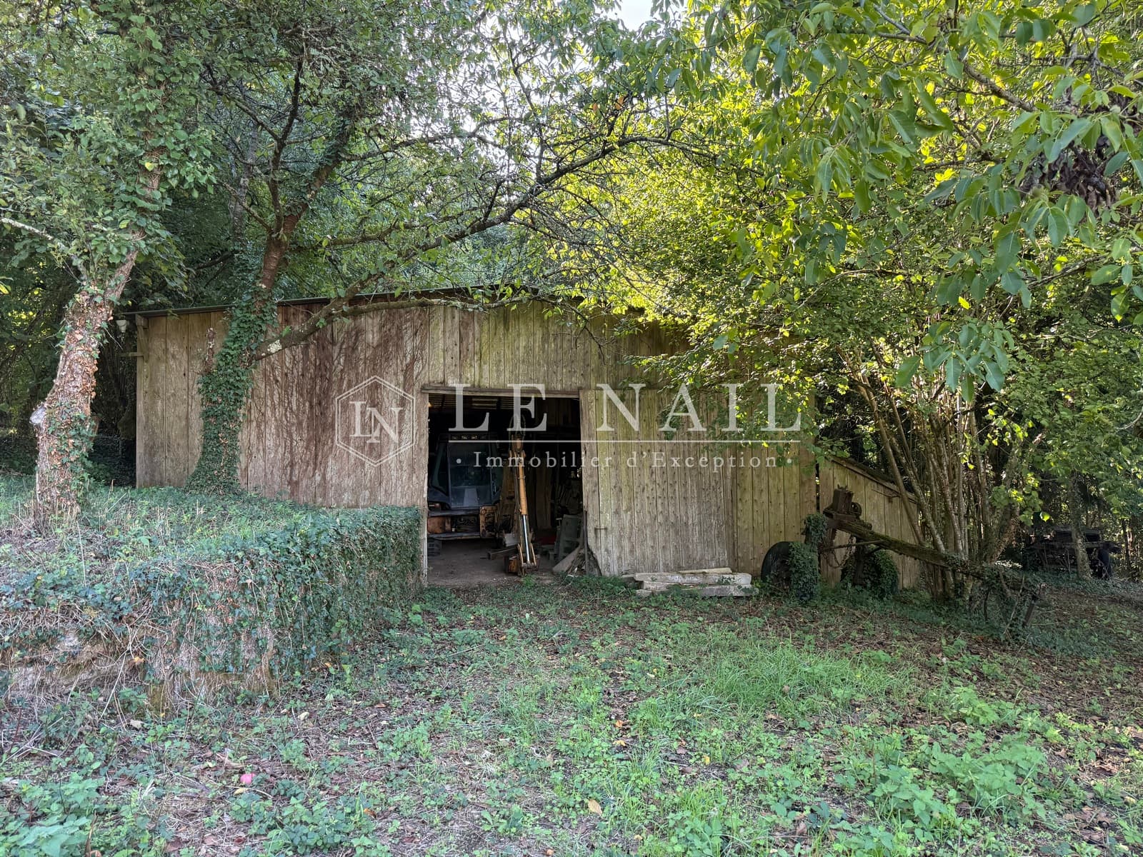 Forêt - 26.5 ha - Château-Gontier-sur-Mayenne - Image 10