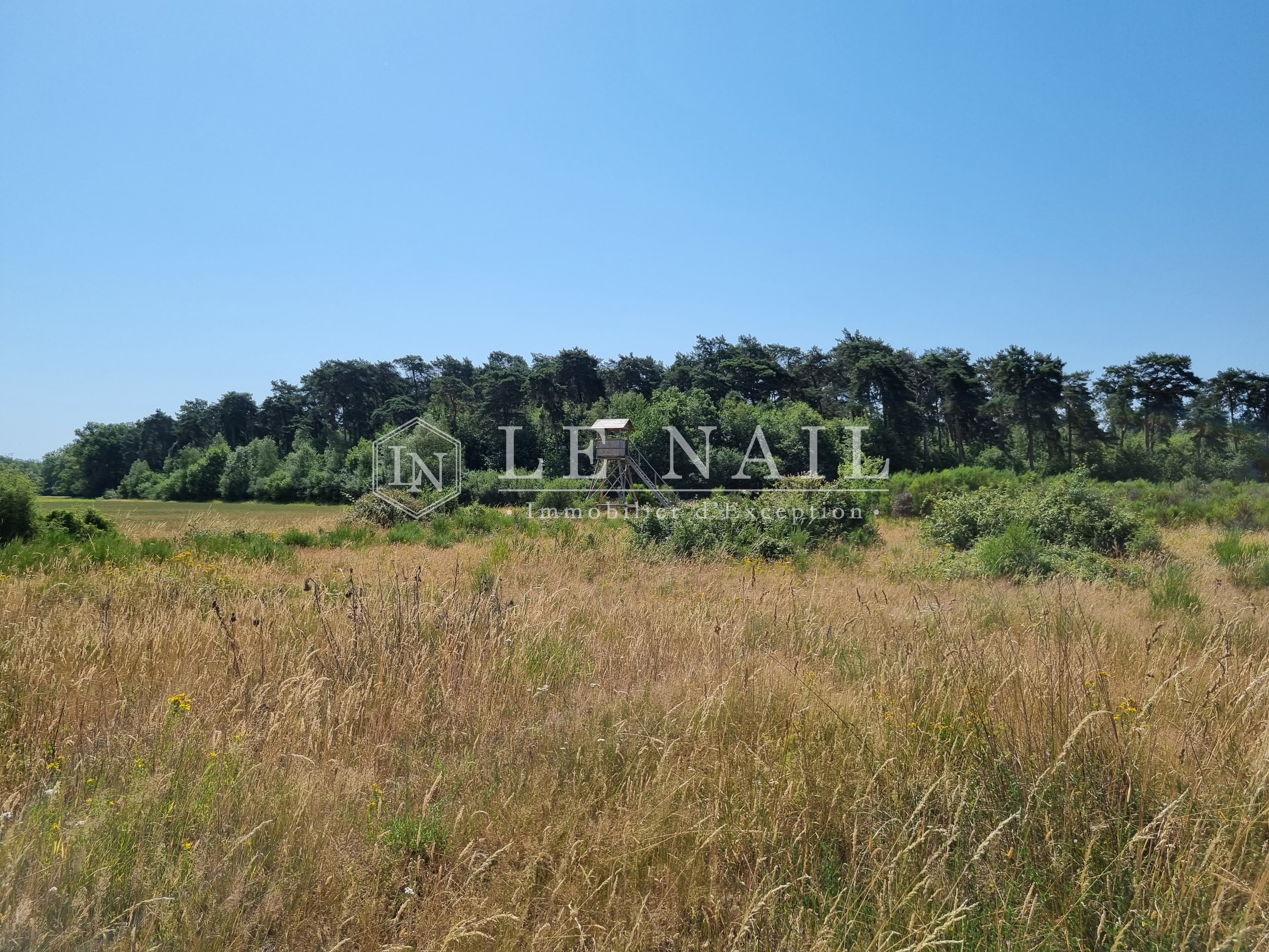 Chasse - 280 ha - Lorris - Image 2