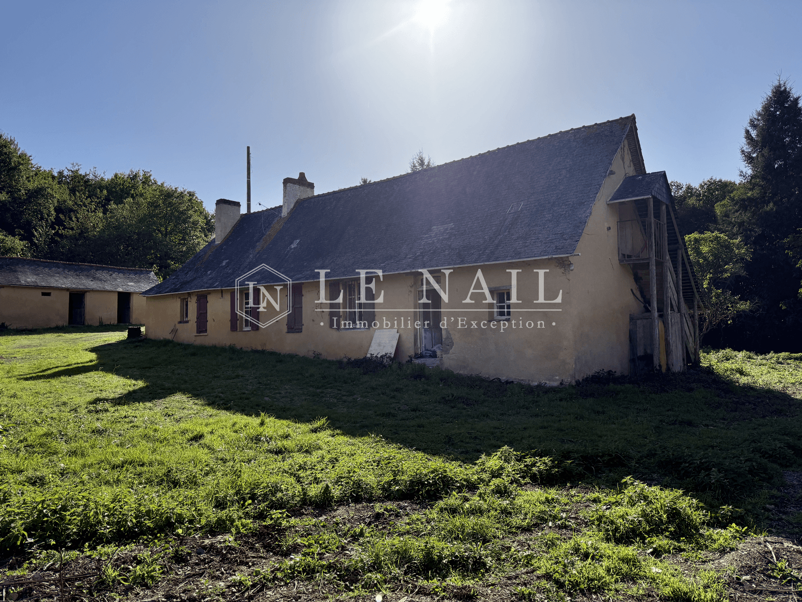 Forêt - 26.5 ha - Château-Gontier-sur-Mayenne - Image 6