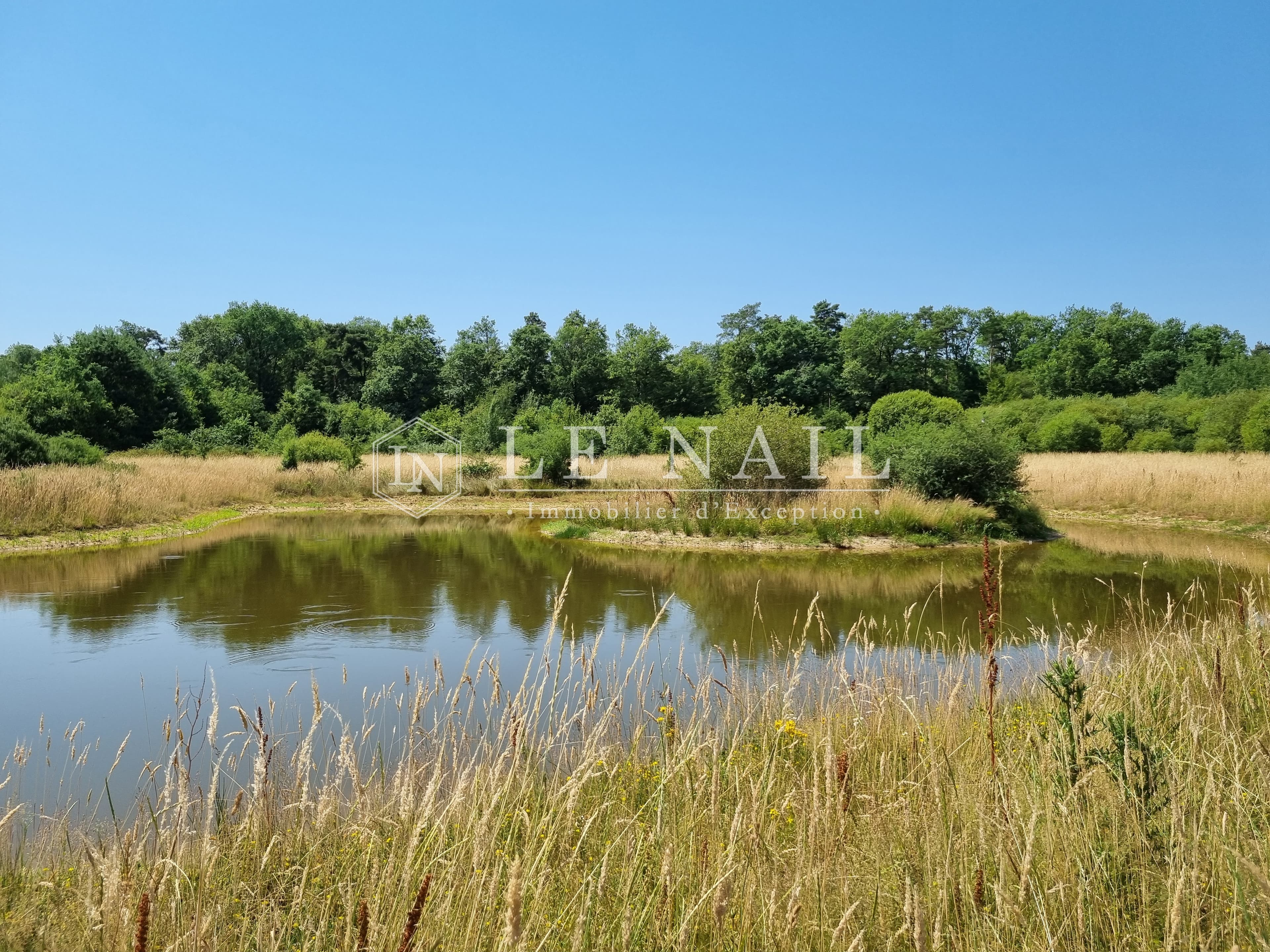 Chasse - 280 ha - Lorris - Image 4