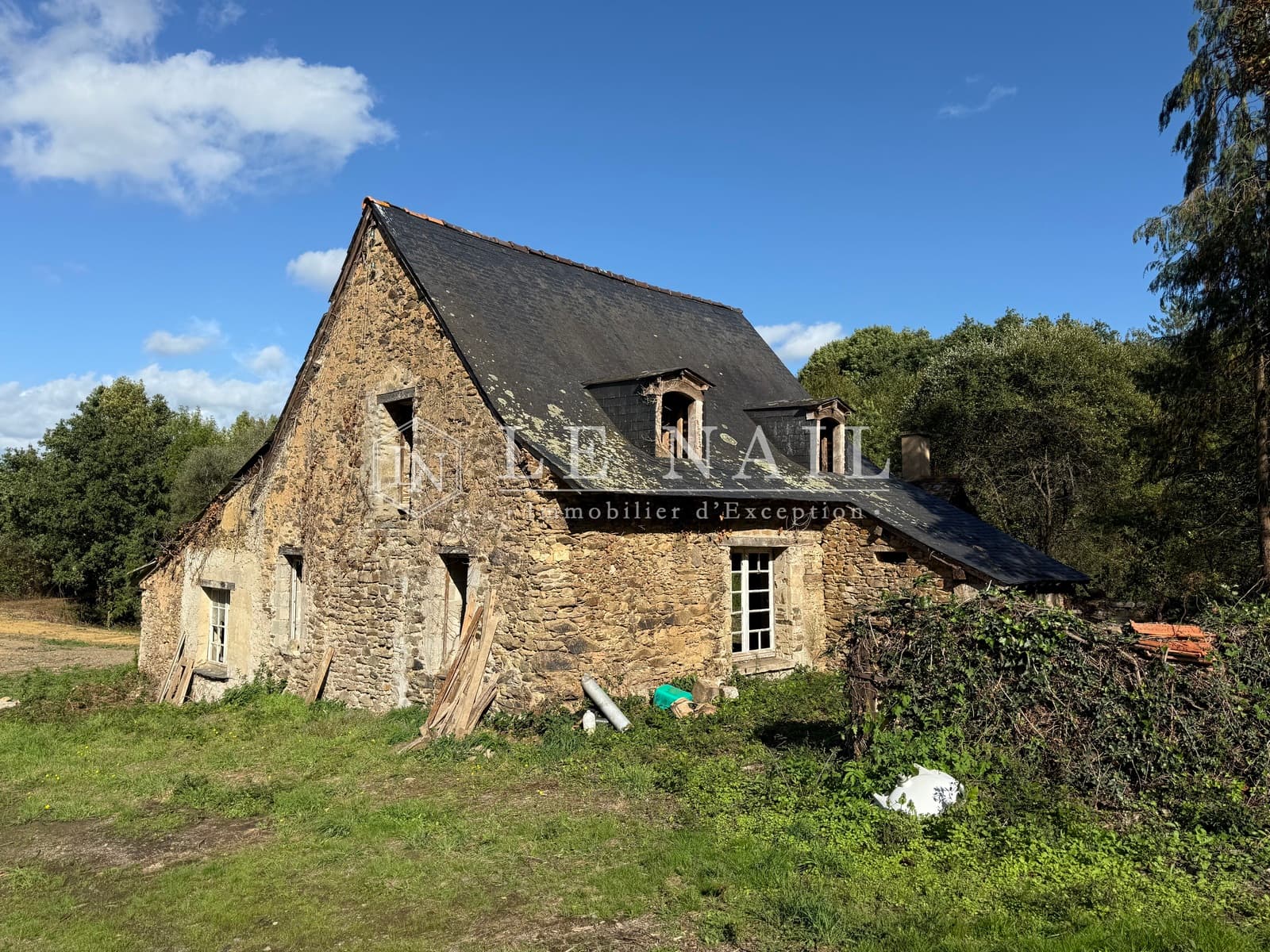 Forêt - 26.5 ha - Château-Gontier-sur-Mayenne - Image 8