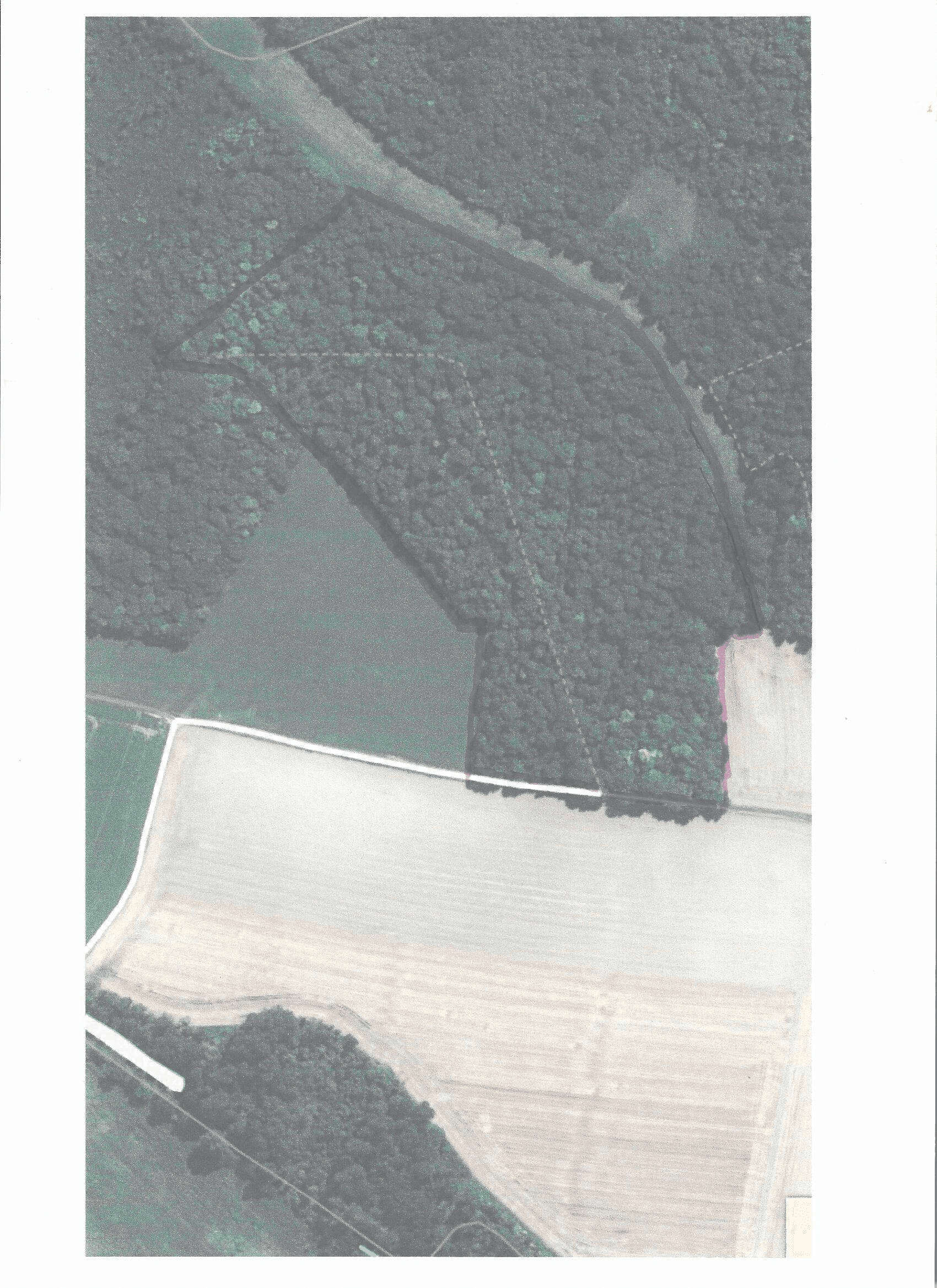 Forêt - 9.6 ha - Laon